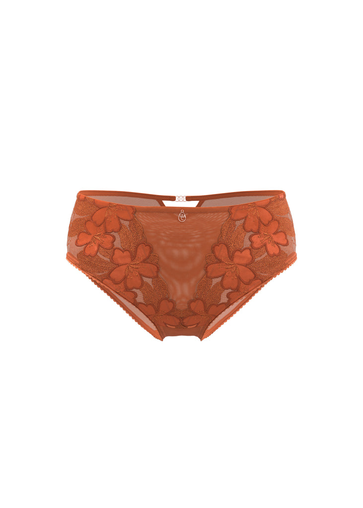 CECILY Plus Orange Floral Embroidery Lace Brief Panties