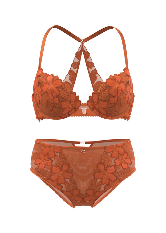 CECILY Orange Floral Embroidery Lace Plus Bra & Panty Set