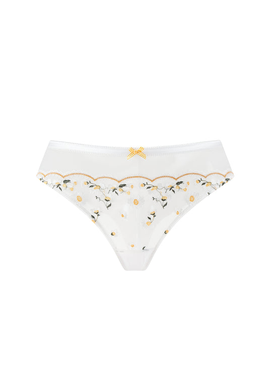 ADELE Plus Daisy Embroidery Lace Tanga Panties