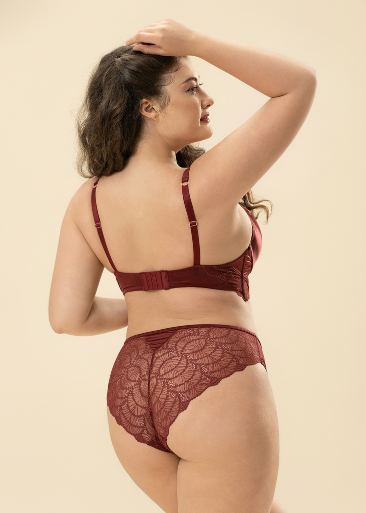 ANYA Plus Bronte Red Lace Brief Panties